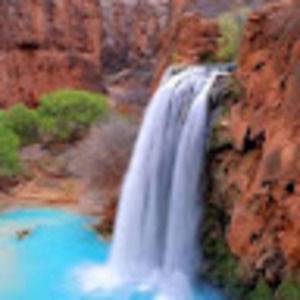 Meet your Posher, Isabella